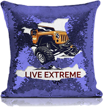 Sequin Pillows