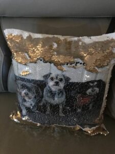 Classic Sequin Pillow photo review