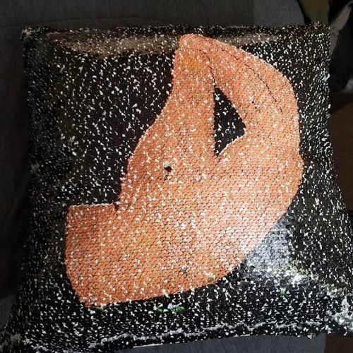 Double Image Reversible Sequin Pillow photo review