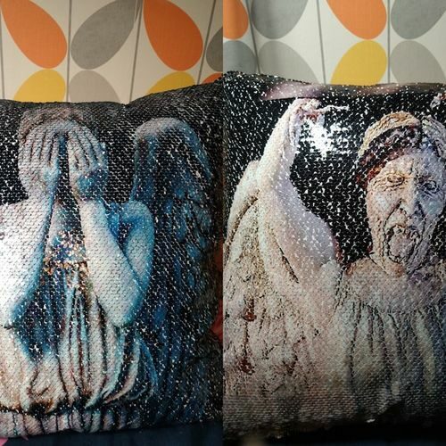 Double Image Reversible Sequin Pillow photo review